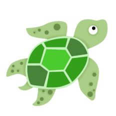 sea turtle