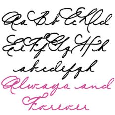 snf always and forever