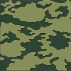 army - military background