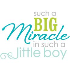 big miracle little boy