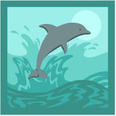 dolphin scene