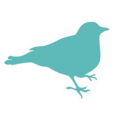 bird silhouette