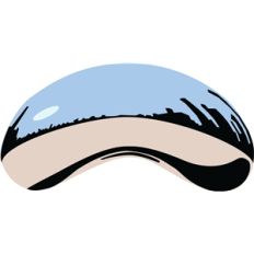chicago bean sculpture