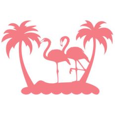 flamingo island