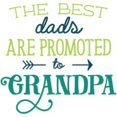 the best dads are promoted to grandpa