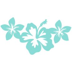 tropical flowers