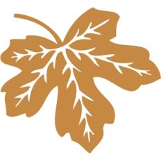 maple leaf