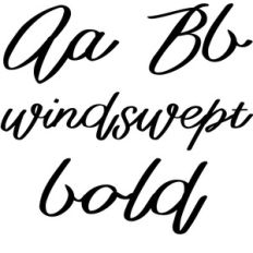 windswept bold font