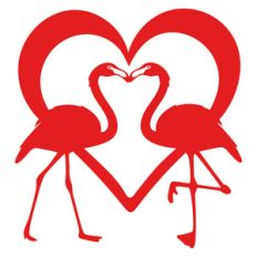 flamingo love