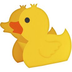 cute duck box