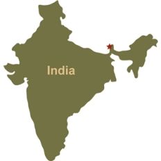 india
