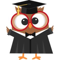 graduation owl