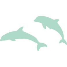 dolphins