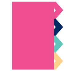 chevron tab planner inserts - large