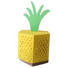 pineapple box