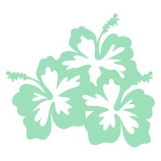 hibiscus bunch