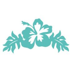 hibiscus flower