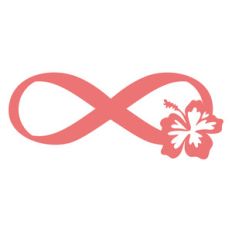 hibiscus infinity