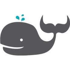 whale