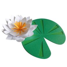 3d water lily