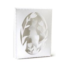3d bunny shadow box