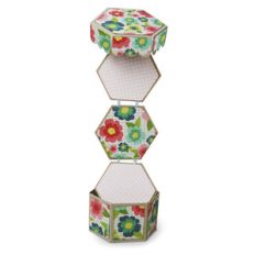 hexagon box mini album