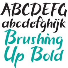 ld brushing up bold