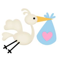 cute stork with bundle