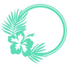hibiscus frame