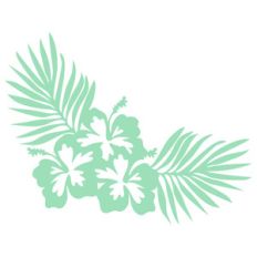 hibiscus ferns