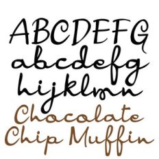zp chocolate chip muffin