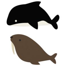 sea creatures – orca and walrus