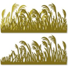 tall swaying grass