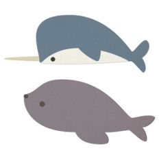 narwhal and seal
