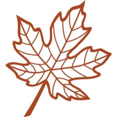 veined maple leaf