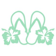 hibiscus flip flops