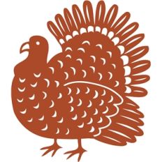 turkey