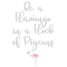 flamingo phrase