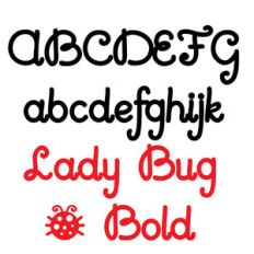 pn lady bug bold