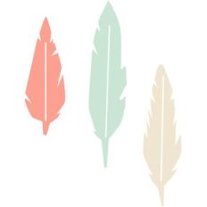 feathers