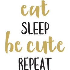 baby t-shirt: eat sleep be cute repeat