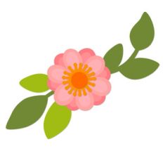 single summer flower
