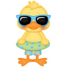 beach duck