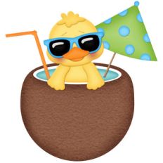 beach duck in coconut drink