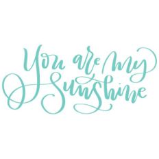 you are my sunshine