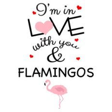 i love you and flamingos