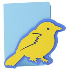bird card