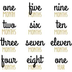 baby t-shirt: months 1-12