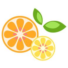 citrus slices