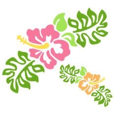 hibiscus flowers